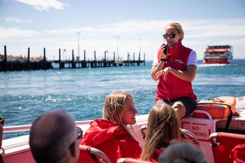Adventure Rottnest Tour With Ferry & Adventure Cruise From Perth Or Fremantle - Taree Accommodation 4