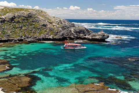 Adventure Rottnest Tour With Ferry & Adventure Cruise From Perth Or Fremantle - Taree Accommodation 5