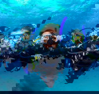 Great Barrier Reef Diving and Snorkeling Cruise from Cairns - Taree Accommodation