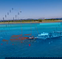 Ocean Free Green Island  Great Barrier Reef Snorkel Cruise Cairns 25 guests - Taree Accommodation