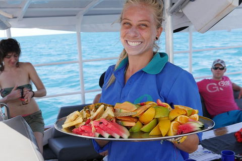 Ocean Free Green Island & Great Barrier Reef Snorkel Cruise, Cairns 25 Guests - Taree Accommodation 1