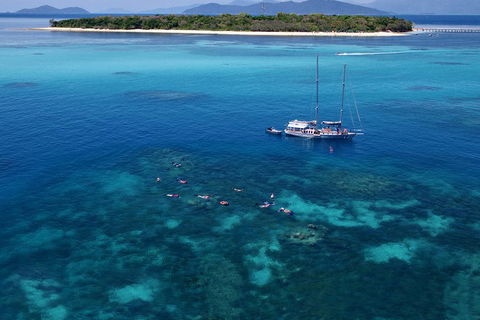 Ocean Free Green Island & Great Barrier Reef Snorkel Cruise, Cairns 25 Guests - Taree Accommodation 2
