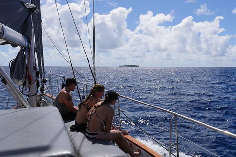Ocean Free Green Island & Great Barrier Reef Snorkel Cruise, Cairns 25 Guests - Taree Accommodation 4