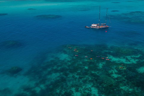Ocean Free Green Island & Great Barrier Reef Snorkel Cruise, Cairns 25 Guests - Taree Accommodation 5