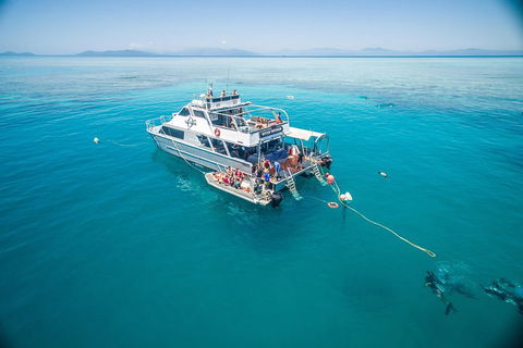 Ocean Freedom Great Barrier Reef Personal Luxury Snorkel & Dive Cruise, Cairns - Taree Accommodation 0