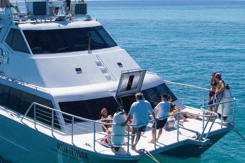 Ocean Freedom Great Barrier Reef Personal Luxury Snorkel & Dive Cruise, Cairns - Taree Accommodation 1