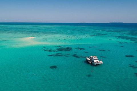 Ocean Freedom Great Barrier Reef Personal Luxury Snorkel & Dive Cruise, Cairns - Taree Accommodation 2
