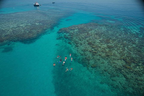 Ocean Freedom Great Barrier Reef Personal Luxury Snorkel & Dive Cruise, Cairns - Taree Accommodation 3