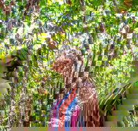 5 Day Australia Retreat Queensland Daintree - Taree Accommodation