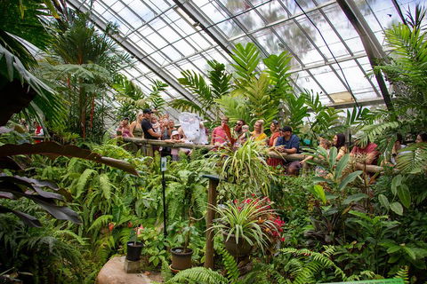 Australian Butterfly Sanctuary - Taree Accommodation 0