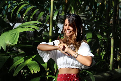 Australian Butterfly Sanctuary - Taree Accommodation 1