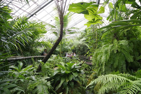 Australian Butterfly Sanctuary - Taree Accommodation 3