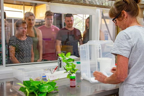 Australian Butterfly Sanctuary - Taree Accommodation 5