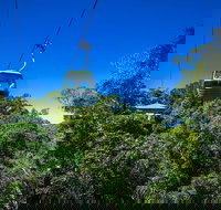 Classic Kuranda by Skyrail and Scenic Railway Including Rainforestation Koala and Wildlife Park and Pamagirri Aboriginal Experi - Taree Accommodation