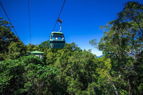 Classic Kuranda By Skyrail And Scenic Railway Including Rainforestation, Koala And Wildlife Park And Pamagirri Aboriginal Experi - Taree Accommodation 0