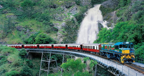 Classic Kuranda By Skyrail And Scenic Railway Including Rainforestation, Koala And Wildlife Park And Pamagirri Aboriginal Experi - Taree Accommodation 1