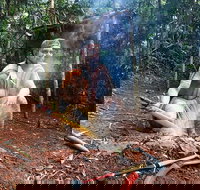 Kuranda Highlights including Rainforestation Aboriginal Culture and Wildlife - Taree Accommodation