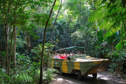 Kuranda Highlights Including Rainforestation Aboriginal Culture And Wildlife - Taree Accommodation 2