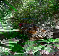 Kuranda Rainforestation  Kuranda Scenic Rail - Taree Accommodation