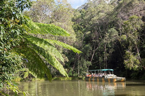 Best Of Kuranda Including Skyrail, Kuranda Scenic Railway And Rainforestation - Taree Accommodation 5