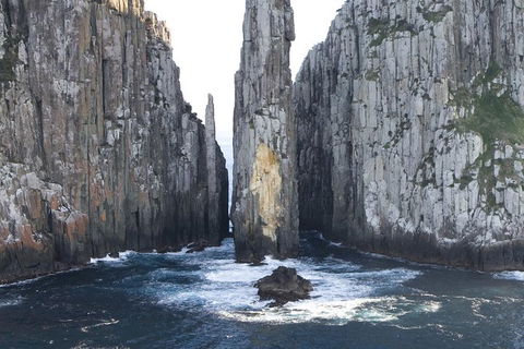 Tasman Island Cruises And Port Arthur Historic Site Day Tour From Hobart - Taree Accommodation 2