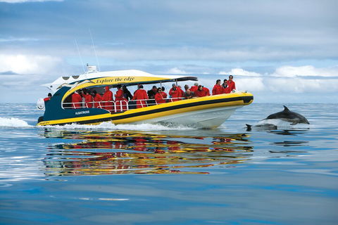 Tasman Island Cruises And Port Arthur Historic Site Day Tour From Hobart - Taree Accommodation 3