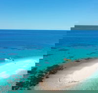 Ocean Safari Great Barrier Reef Experience in Cape Tribulation - Taree Accommodation