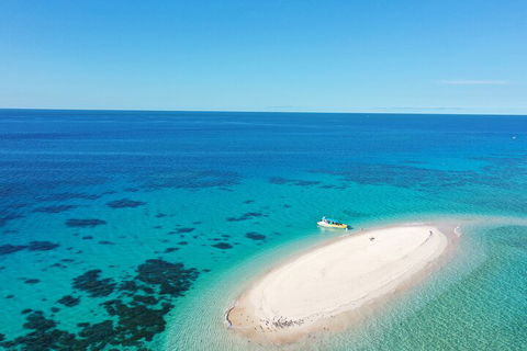 Ocean Safari Great Barrier Reef Experience In Cape Tribulation - Taree Accommodation 0