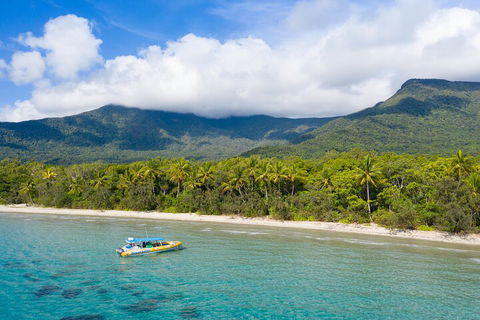 Ocean Safari Great Barrier Reef Experience In Cape Tribulation - Taree Accommodation 2