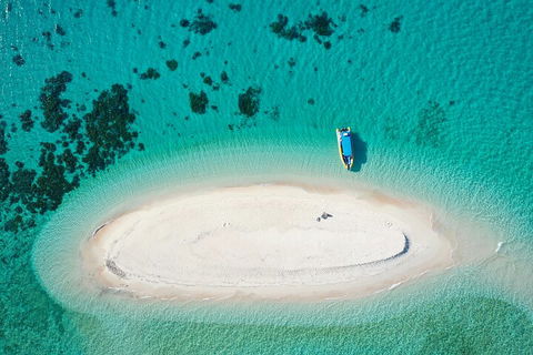 Ocean Safari Great Barrier Reef Experience In Cape Tribulation - Taree Accommodation 3
