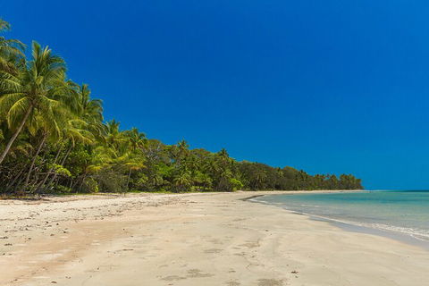 Ocean Safari Great Barrier Reef Experience In Cape Tribulation - Taree Accommodation 4