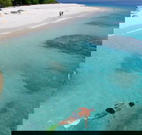 Fitzroy Island Day Trip from Cairns - Taree Accommodation