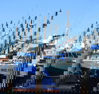 One Day Port Lincoln Tour - Tasting Eyre - Taree Accommodation