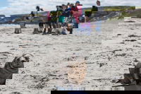 Book Viator Accommodation Vacations Taree Accommodation Taree Accommodation