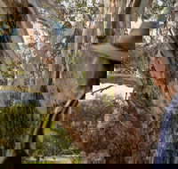 NEW TOUR - Kangaroo Island Road to Recovery Tour 1 Day/1 Night - Taree Accommodation