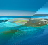 Cairns City Sights and Surrounds Tour - Taree Accommodation