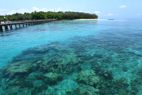 Cairns City Sights And Surrounds Tour - Taree Accommodation 1