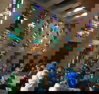 Cairns Shore Excursion Cairns City Sights  Surrounds Tour - Taree Accommodation