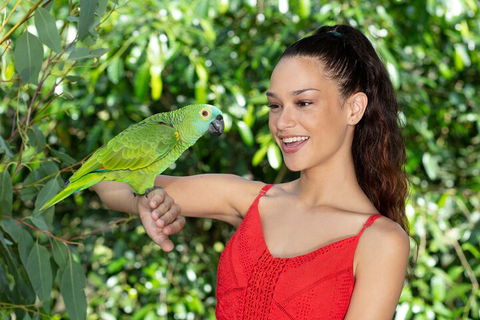 Kuranda Wildlife Experience Three Attraction Pass - Taree Accommodation 1