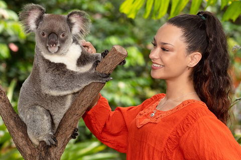 Kuranda Wildlife Experience Three Attraction Pass - Taree Accommodation 4