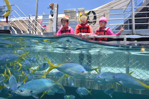 Outer Reef Pontoon Experience From Cairns - Taree Accommodation 0
