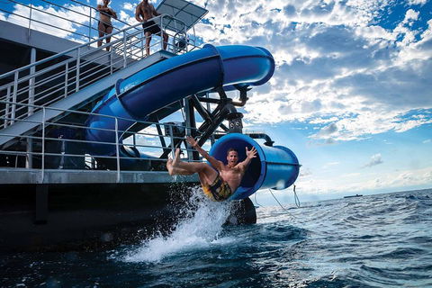 Outer Reef Pontoon Experience From Cairns - Taree Accommodation 3