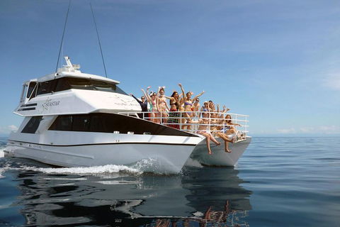 Seastar Luxury Outer Great Barrier Reef Island And Reef Tour From Cairns - Taree Accommodation 4
