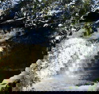 Cradle Mountain Day Tour from Launceston Including Lunch - Taree Accommodation