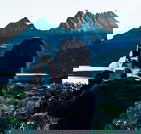 Cradle Mountain Park Explorer Guided Tour - Taree Accommodation