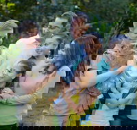 Small-Group Australia Zoo Day Trip from Brisbane - Taree Accommodation