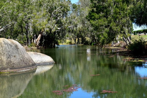Private Daintree And Cape Tribulation Tour From Port Douglas - Taree Accommodation 3