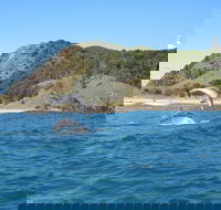 Kayaking with Dolphins in Byron Bay Guided Tour - Taree Accommodation