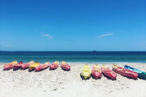 Kayaking With Dolphins In Byron Bay Guided Tour - Taree Accommodation 1