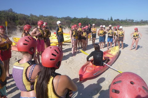 Kayaking With Dolphins In Byron Bay Guided Tour - Taree Accommodation 2